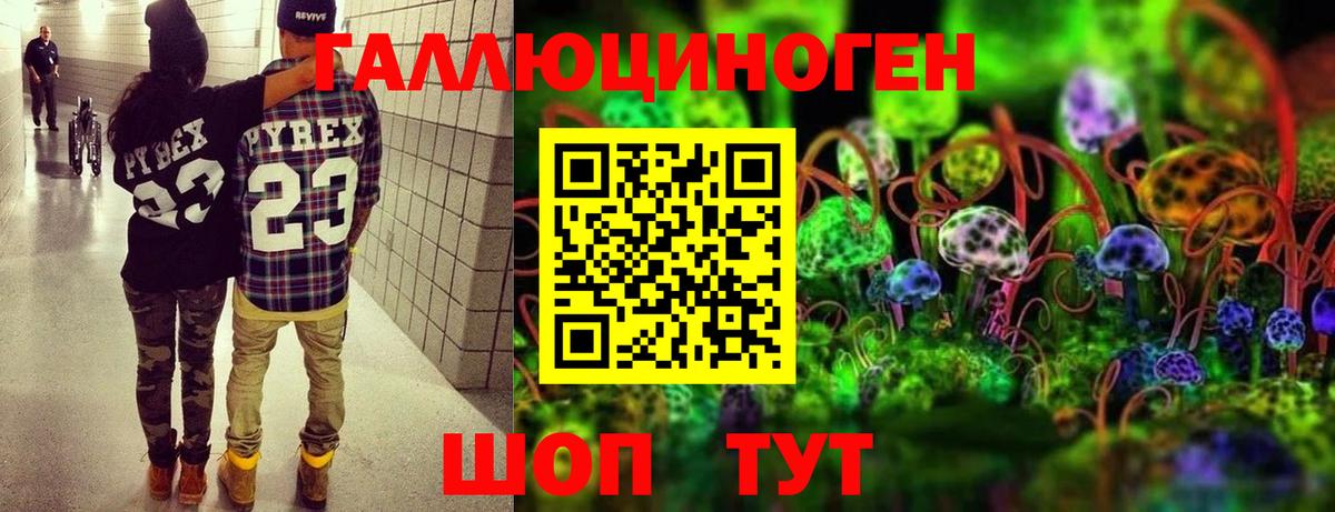 Героин Кропоткин